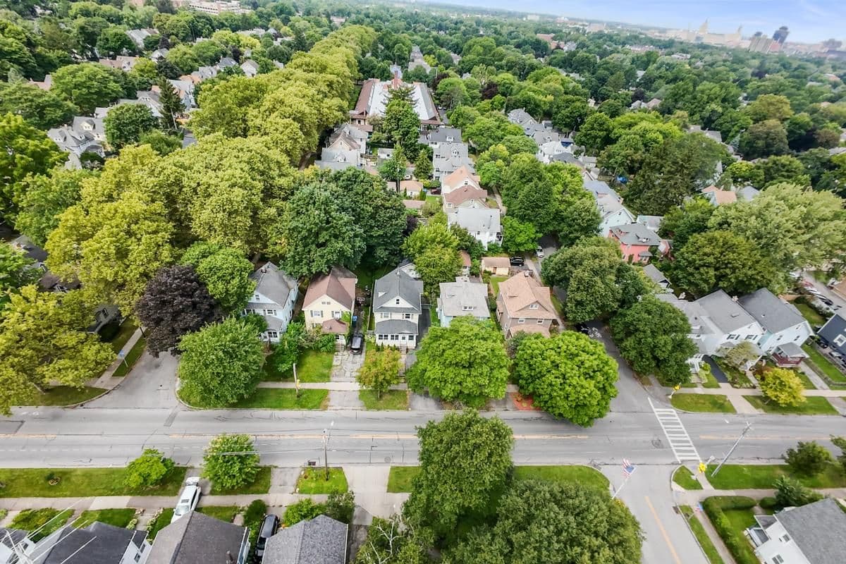Aerial of a tree-lined city neighborhood